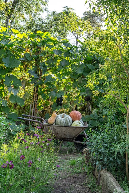 Los vegetales que se consumen son de cosecha propia.
