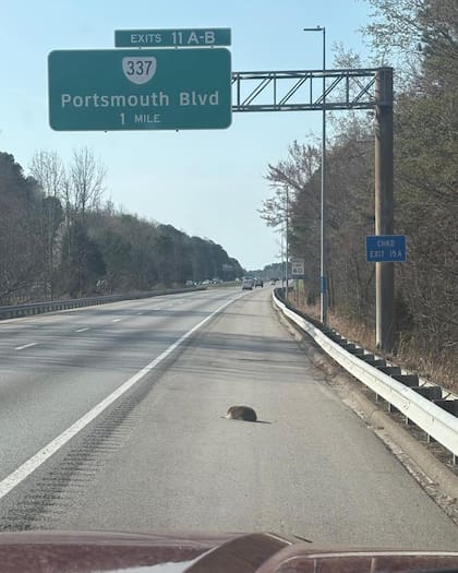 Los vehículos pasaban a toda velocidad sin siquiera advertir que algo ocurría.