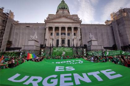 Los "verdes" pretenden lograr la media sanción en Diputados antes de fin de año, esperanzados en que el Senado esta vez respaldará la ley