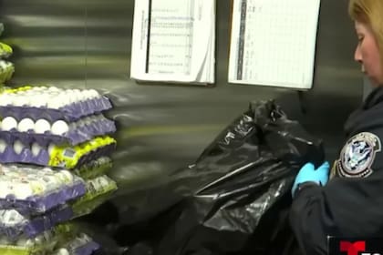 Los viajeros deben asegurarse de que cualquier artículo agrícola que transporten cumpla con las regulaciones vigentes para evitar problemas legales