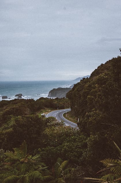 Los viajeros podrán disfrutar de una vista al océano durante casi todo el trayecto de la Pacific Coast Highway