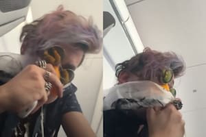 Los videos de los pasajeros a bordo del avión.