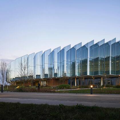 Los vidrios en ángulo generan un contraste de sombras que le permite identificar al pájaro el objeto y no estrellarse por su transparencia