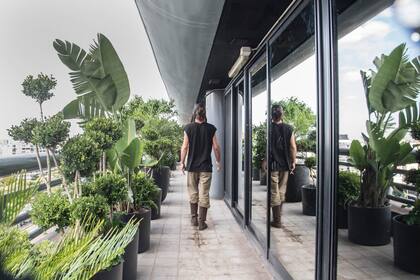 Los vidrios espejados causan un efecto envolvente con el verde de las plantas que se reflejan.