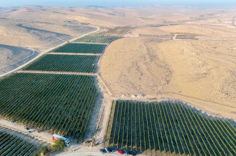 Innovación agrícola en Israel: Revolucionando la producción con gestión inteligente del agua