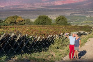 Aroma a torrontés. Por los viñedos de los valles salteños