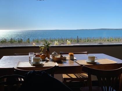 Los viñedos: nuevos protagonistas de la vista desde los ventanales de Bahía Bustamante.