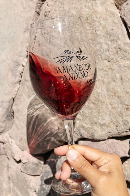 Los vinos de Amanecer Andino hablan de la mineralidad de la región