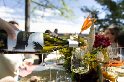 Los vinos de Decero son parte de la experiencia de casarse en la finca