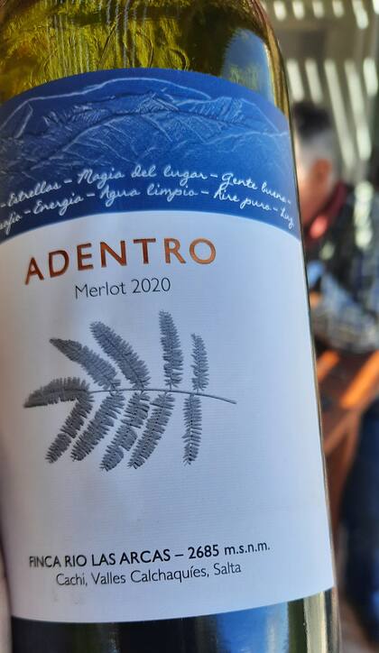Los vinos de Finca Río Las Arcas se embotellan con la marca Adentro. Hay Merlot y Torrontés.