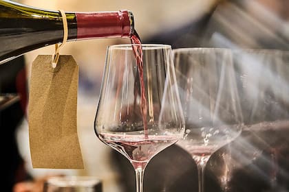 Los vinos son catados a ciegas