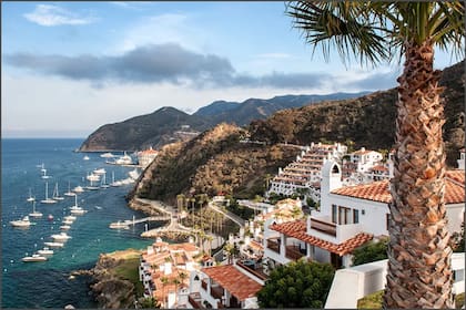 Los visitantes destacan la facilidad de llegar a la isla de California a solo un viaje en ferry de Los Ángeles