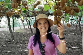 Una experiencia única: cosechar kiwis