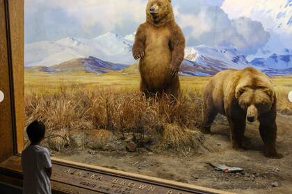 Los visitantes podrán recorrer los pasillos del museo