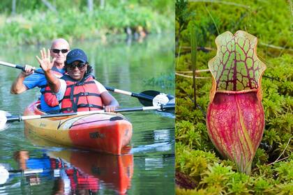 Los visitantes pueden acceder a excursiones guiadas en canoa por los tranquilos ríos y lagos del parque (Foto: Pinelands Preservation Alliance)