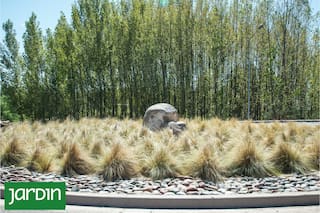 Por qué la xerojardinería ya es más que una moda