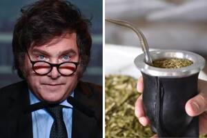 Los yerbateros denunciaron a Javier Milei por no nombrar presidente en el INYM