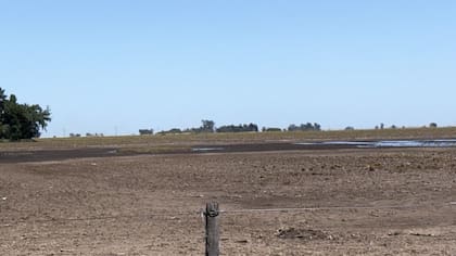 Lotes en Pergamino que todavía no se pudieron sembrar