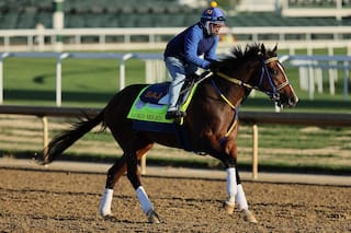 Caballos muertos antes del Derby de Kentucky: acechan el fantasma del doping y las lesiones