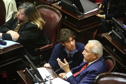 Lousteau y Romero durante el debate en el Senado de la Nación