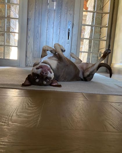 Lua se volvió parte de la historia de la familia y compartían sus fotos en las redes sociales