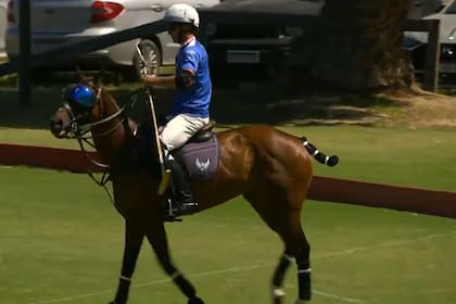 Luca Nebulosa, montada por Alfredo Bigatti, con protección especial por una lesión en el ojo izquierdo