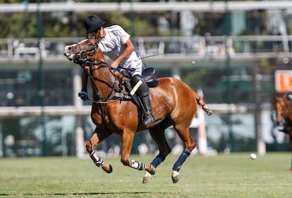 Lucas Criado (h.) resultó el mejor de La Dolfina II, que cayó por 5 goles en un encuentro que resultó más parejo que lo que sugiere el marcador; el equipo deberá pasar por la clasificación para Palermo, pero no jugará Hurlingham ni Tortugas.