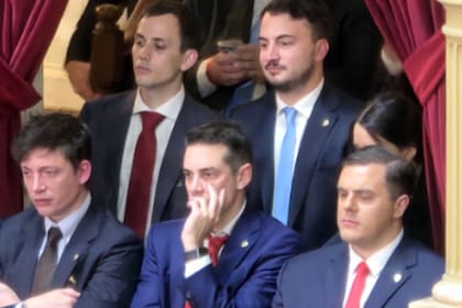 Lucas Luna y Agustín Romo, detrás de Santiago Caputo, Sebastián Amerio y Daniel Parisini, alias “el Gordo Dan”, en el Congreso