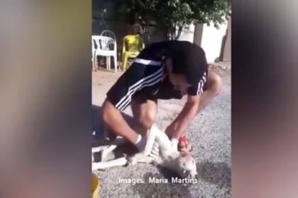 Lucas Martins ejecutó maniobras de RCP para poder salvar al perro que luego de cinco minutos volvió a respirar