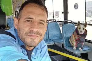 Corchito, el perro que se volvió el fiel compañero de un colectivero y es viral en TikTok