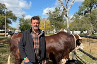 La empresa que pasó de repartir gaseosas y cervezas a competir en una gran liga ganadera