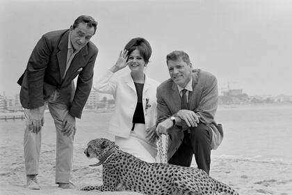Luchino Visconti, Claudia Cardinale y Burt Lancaster posan junto a un guepardo en las playas de Cannes en la presentación del film en 1963