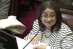 Una senadora de Catamarca se diferenció del gobernador luego de que pidiera apoyar la Ley Bases