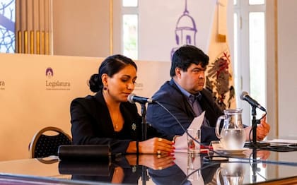 Lucía Montenegro (LLA) organizó en la Legislatura una jornada de debate por falsas denuncias por violencia de género del que participó el Dr. José Eduardo Villena