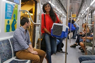 Qué animales se pueden trasladar en trenes y micros