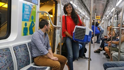 Uno de los requisitos para el traslado de las mascotas es que viajen en un contenedor adecuado