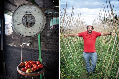 Luciano Kunis (foto) recibió del chef argentino Pablo Vicari semillas de tomates reliquia.