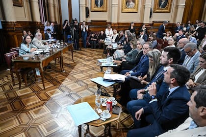 Lucila Crexell, al defender su pliego en la audiencia de este jueves (Comunicación Senado)