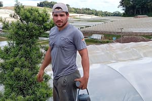 Dramático éxodo de misioneros a Brasil para emplearse en el campo por la falta de trabajo