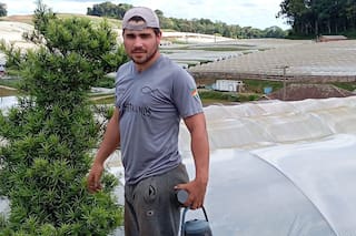 Dramático éxodo de misioneros a Brasil para emplearse en el campo por la falta de trabajo