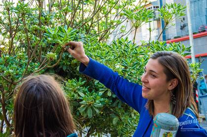 Ludmila empezó en 2012 a armar paseos abiertos y gratuitos para recorrer circuitos de frutales porteños.