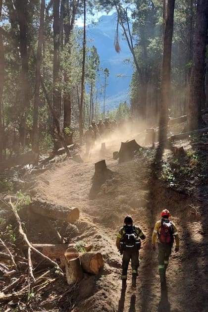 Luego de 34 días de combate contra el fuego, el incendio en Valle Magdalena, en el Parque Nacional Lanín, logró ser contenido; las llamas devoraron 24.100 hectáreas
