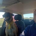 La emotiva reacción de un hombre que encontró a su perro en un camino de tierra tras días de búsqueda