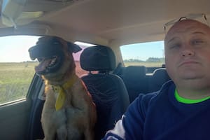 El emotivo reencuentro entre un perro y su dueño tras días de búsqueda