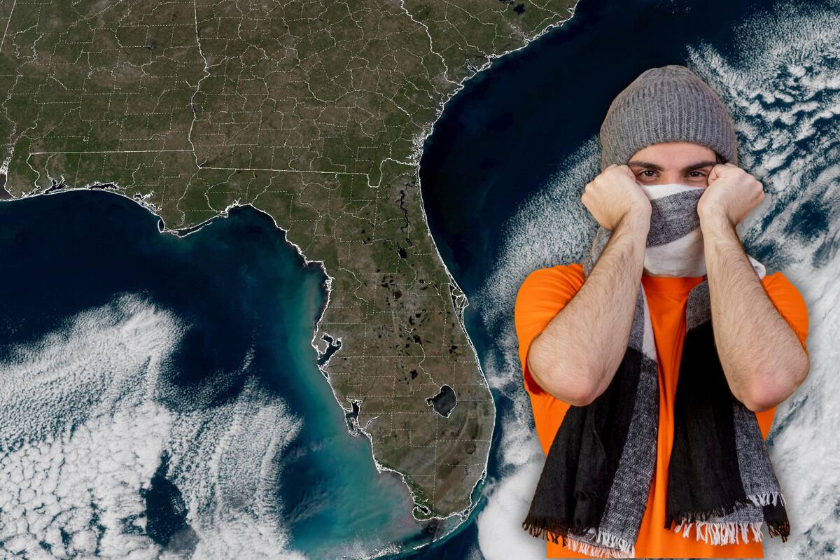 Mapa de queda de neve na Flórida. lugares onde a onda de frio está se espalhando e o que vai acontecer em Miami e Orlando Mapa de queda de neve na Flórida. lugares onde a onda de frio está se espalhando e o que vai acontecer em Miami e Orlando