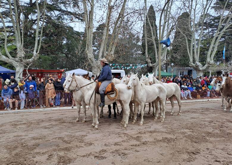 “Muy a pulmón”: el pueblo de 600 habitantes que brilla cada año con una fiesta popular