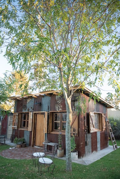 Lugar de trabajo de Adriana, donde realiza nuevas plantas para luego llevar a los canteros o la huerta