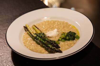 Luigi Bosca Mostrador Olivos