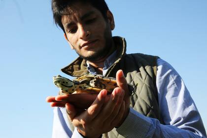Antes de liberar a Tutu en la laguna Curuzú Jaime
