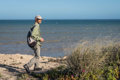 Luis Delvenne estudia las especies nativas de la costa bonaerense, entre Miramar y Mar del Plata.